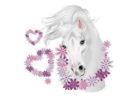 anniversaire thème cheval