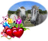 anniversaire thème cheval